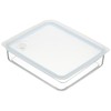 Pearl Metal HB-2629 Easy Clean Shallow Type Airtight Storage Container,