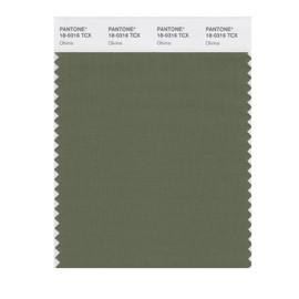 PANTONE Smart 18-0316X Color Swatch Card, Olivine
