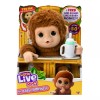Little Live Pets My Baby Monkey Mango, 50+ Sounds and