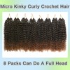FLWAI Pre Looped Micro Kinky Curly Crochet Hair 8 Packs