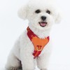 Jufoo Red Dog Harness for Small Dogs, No Pull Harness
