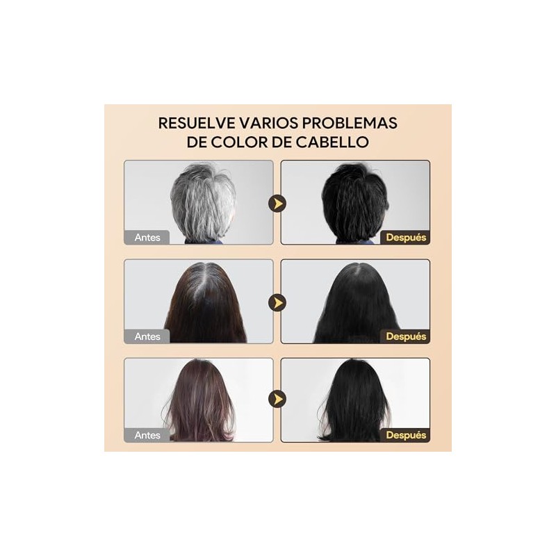 Champú para Teñir el Cabello Negro 3 en 1 Black