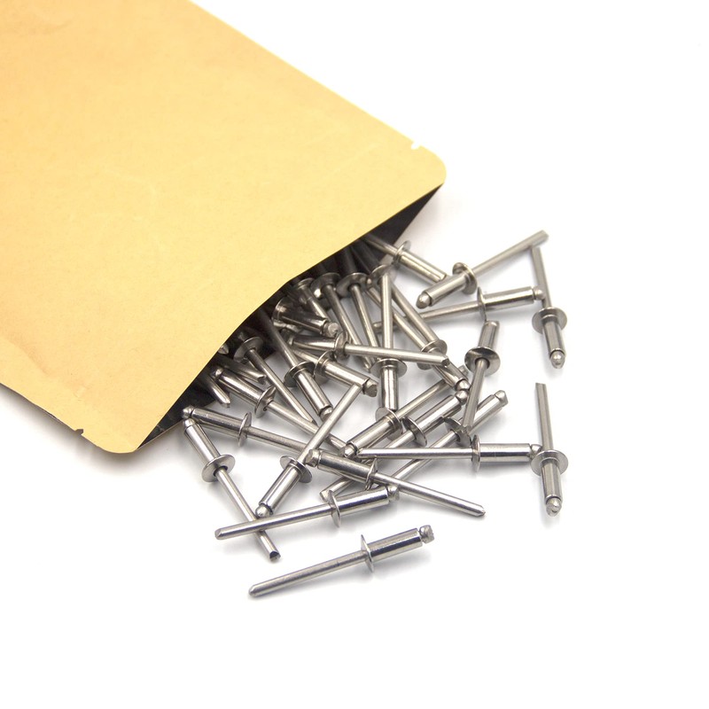 ISPINNER 100 remaches de acero inoxidable de 1/8 x 1/4