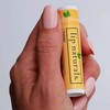 Lip Naturals® All Natural Lip Balm in a 6-Count Variety