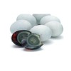 Ikutomo Pitan Pine Flower Duck Skin Gum 6 Packs x