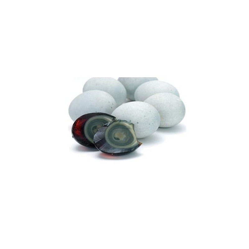 Ikutomo Pitan Pine Flower Duck Skin Gum 6 Packs x