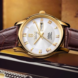 ROCOSJEWE Men's Watch Fashion Automatic Watches for Men Men's Mechanical Watch Leather Strap Waterproof Calendar Week Gift RW0131