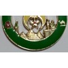 New Shriners AAONMS Green Cut Out Car Emblem
