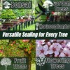 Kiyonal Kiyonal New Bonsai Pruning Cutting Sealer 100g Made in