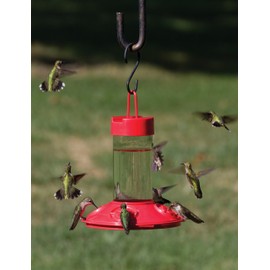 Songbird Essentials SE6002 Dr Jb's Clean Feeder, Red, 16-Ounce