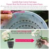 Meshpot Double Layer Plastic Imitate Ceramic Orchid Planter, Set of