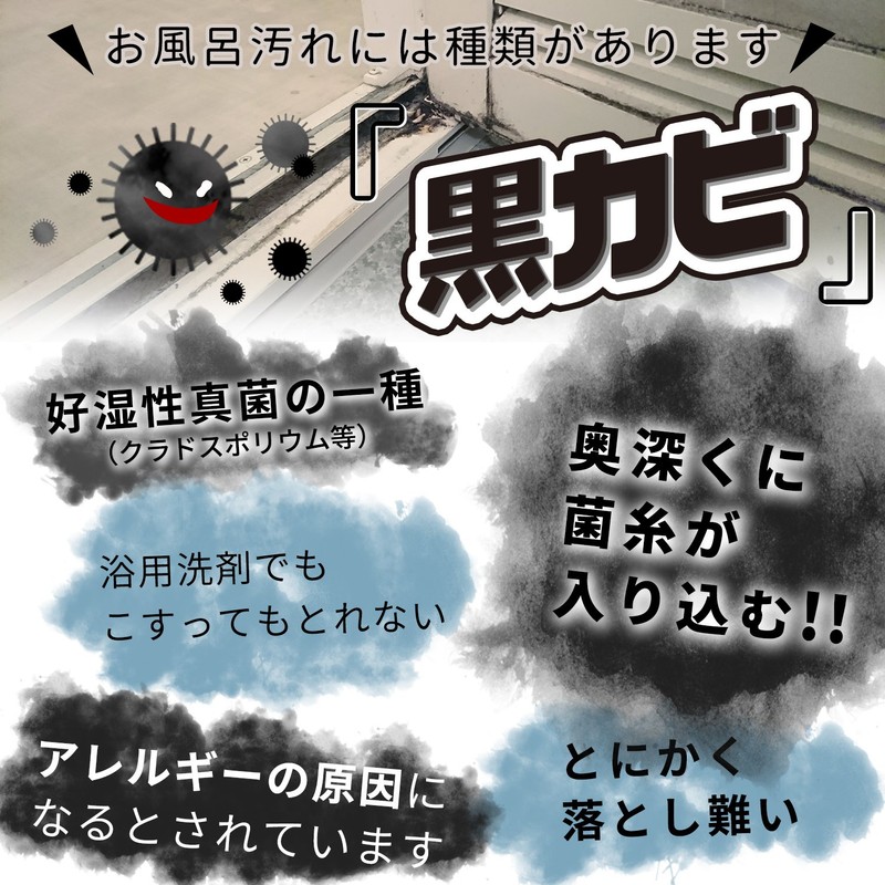 レック 激落ち 黒カビくん 浴室用 カビ取り ウェットシート(低刺激・非塩素系カビ取り剤配合) 10枚入 S00042