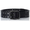 Lucky Brand Men Casual Leather Belt, Grommet and Stud-Black, 32"