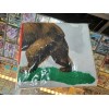 Fallout California Republic Flag 76 LootCrate 2ft x 3ft- Mailed
