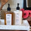 Village Perfumer - Grapefruit Hand Wash No. 1527