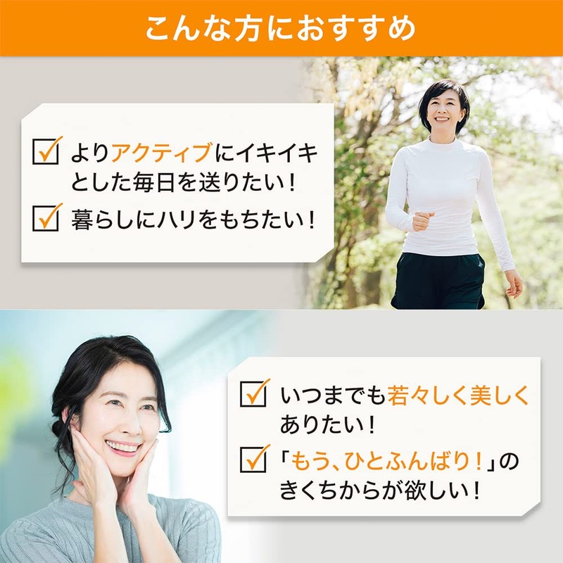 サントリー コエンザイムQ10＋セサミンE コエンザイムQ10 セサミン サプリメント サプリ 90粒入/約30日分