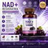 Colágeno Hidrolizado Golden Nad Resveratrol Tabs