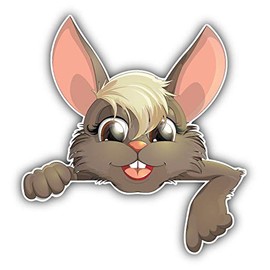 Beautiful Easter Bunny Window Truck Car Bumper Sticker Decal 5'' x 5''