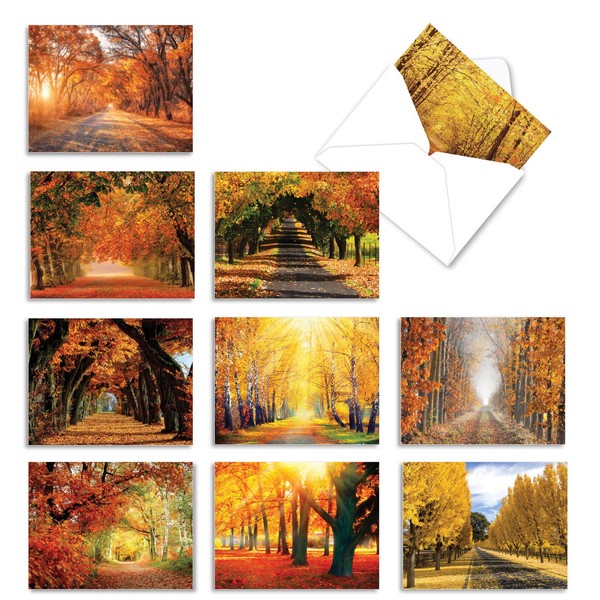 10 Blank 'Fall Foliage' Note Cards with Envelopes 4 x 5.12 inch, Boxed Set of Autumn Landscape Stationery - All-Occasion Greeting Cards for Weddings, Holidays and Thank Yous M4971OCB-B1x10