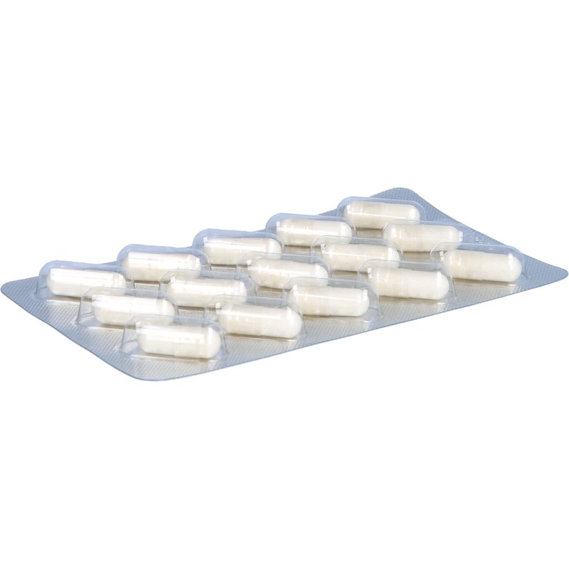 Biomo Aktiv Probiot Probiotic Capsules, Pack of 30 Capsules