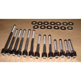 Stainless Cycle Honda TRX400ex 400ex Stainless Steel Crankcase Bolt Kit Fourtrax  Polished Set