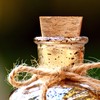Browin 652302 Cork for Wine Bottles with an Inner Diameter