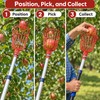 Fruit Picker Tool for Harvesting Apples and Peaches – High-Reach