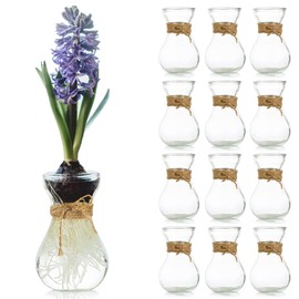 Small Glass Vases for Centerpieces - Hewory 12pcs Clear Mini Hyacinth Avocado Growing Bud Vase Bulk, Cute Tiny Flower Bulb Forcing Plant Containers Set for Wedding Home Living Room Table Decorations