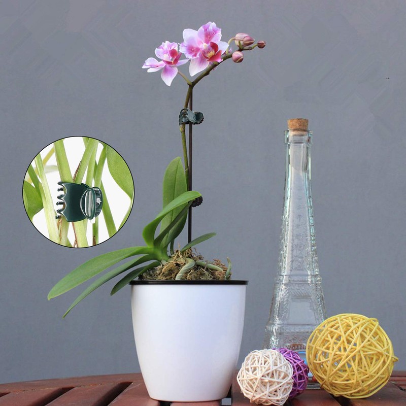 100 Pcs Plastic Plant Support Clips Trellis Clips Garden Clips