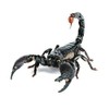 3D Scorpion Car Sticker Zodiac Tuning Animal Sticker Scorpions Multi-Coloured