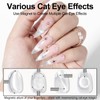 NXJ INFILILA 0.5 OZ Cat Eye Gel Polish, 15ML Holographic