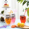 Nuenen 500 Pack Plastic Drink Pouches with Straws Funny Saying