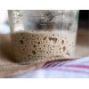 Unbranded THE ORIGINAL SAN FRANCISCO SOURDOUGH STARTER "sally" + many
