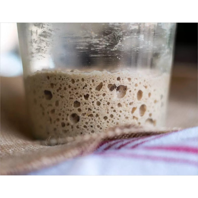 Unbranded THE ORIGINAL SAN FRANCISCO SOURDOUGH STARTER "sally" + many