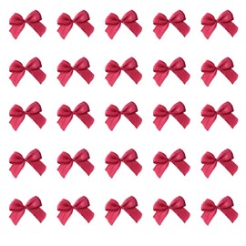 Sowaka 50 Pcs Mini Satin Ribbon Bow 0.9 Inch Small Soft Cute Elegant Bows for Craft DIY Making Kit Art Scrapbooking Sewing Christmas Gift Wedding Theme Parties Decoration Gift Present Supplies (Red)