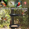 Gute Double Layer Hanging Metal Mesh Bird Feeder Tray -