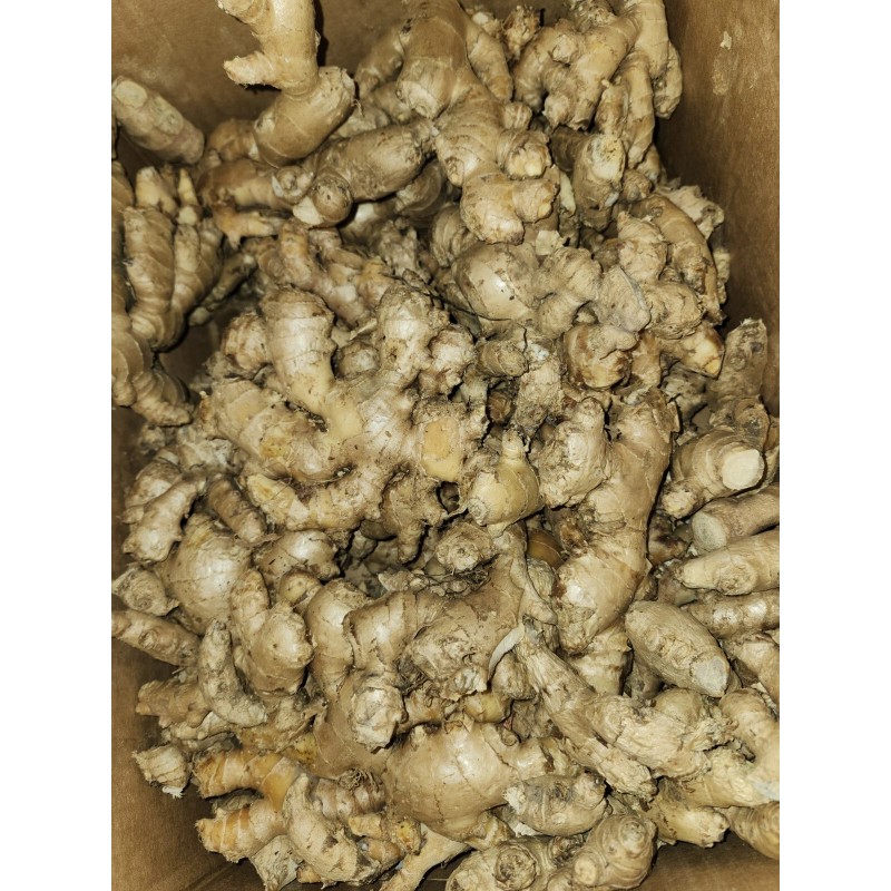 Roots Raw Whole Ginger Roots - 4Lb