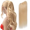 SEGOHAIR Claw Clip Ponytail Hair Extensions Human Hair, 14 Inch