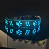DOGLED Flashing USB-C led Light up Dog Collar, Subversive 3D