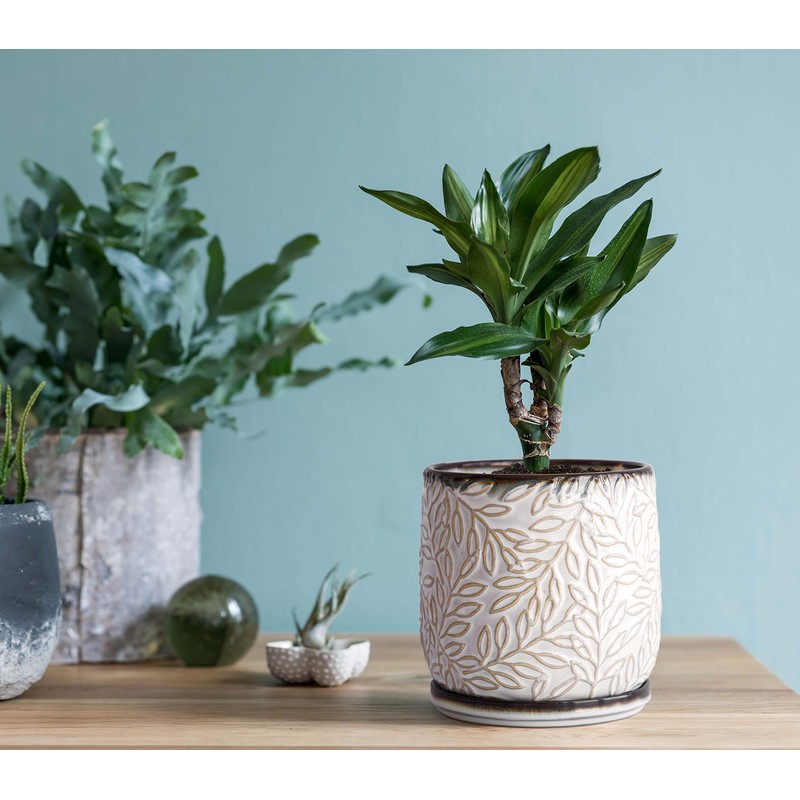 D'vine Dev 5 Inch Embossed Leaves Stoneware Planter Pot with