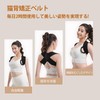 Posture Supporter, Posture Belt, Hunchback Belt, Unisex, Breathable, Easy to