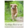 Golden Retriever (Wandkalender 2026 DIN A3 hoch), CALVENDO Monatskalender (CALVENDO