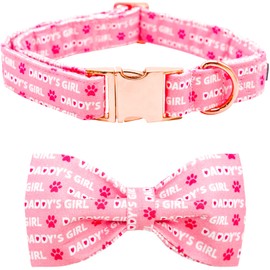 Lionheart Glory Bow Collar for Valentine's Day and Spring - Large Dog Collar With Bowtie, Pink Pet Collar