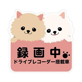 Biijo Dash Camera, Waterproof, Heat Resistant, Sticker, Dash Cam Seal, Dash Cam Sticker, Countermeasure for Driving Dogs (C. Pomeranian)