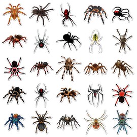 50 Pcs Spider Vinyl Stickers,Spider Animals Graffiti Stickers,Vinyl Waterproof Sticker for Kids Teens Girls,for Phone Laptop Bottles Skateboard Computer Phone Luggage Guitar Gifts Sticker
