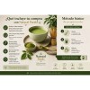 Té Matcha Orgánica Premium 100 Natural Polvo 500g