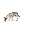 HUNTER Stainless Steel Feeding Bowl for Dogs and Cats Non-Slip
