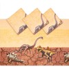 BLUE PANDA Plastic Tablecloth for Dinosaur Birthday Party (Brown, 54