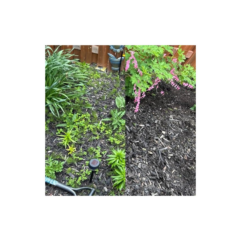 Mini Action/Hula Hoe Carbon Steel Weeding Garden Soil Digging Pole
