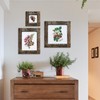 IKEREE 8x10 Rustic Picture Frames with Real Bark, Made of